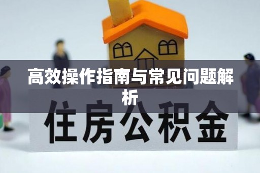 乾县高效操作指南与常见问题解析