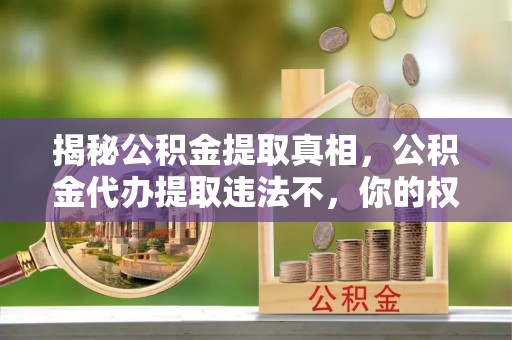 乾县揭秘公积金提取真相，公积金代办提取违法不，你的权益如何保障？
