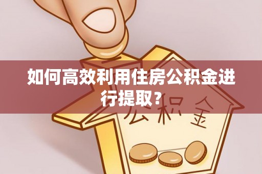 乾县如何高效利用住房公积金进行提取？