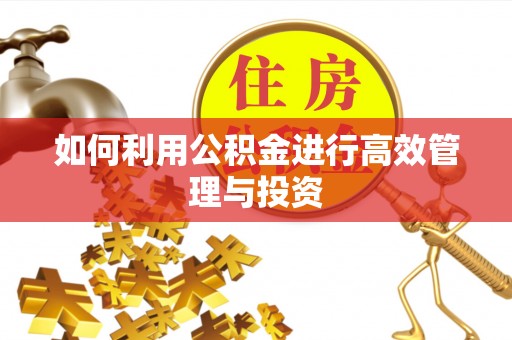 乾县如何利用公积金进行高效管理与投资