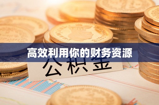 乾县高效利用你的财务资源