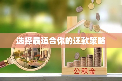 乾县选择最适合你的还款策略