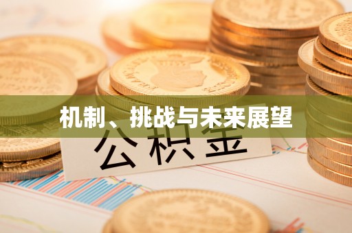 乾县机制、挑战与未来展望